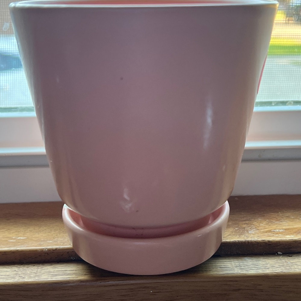 Flower Pot